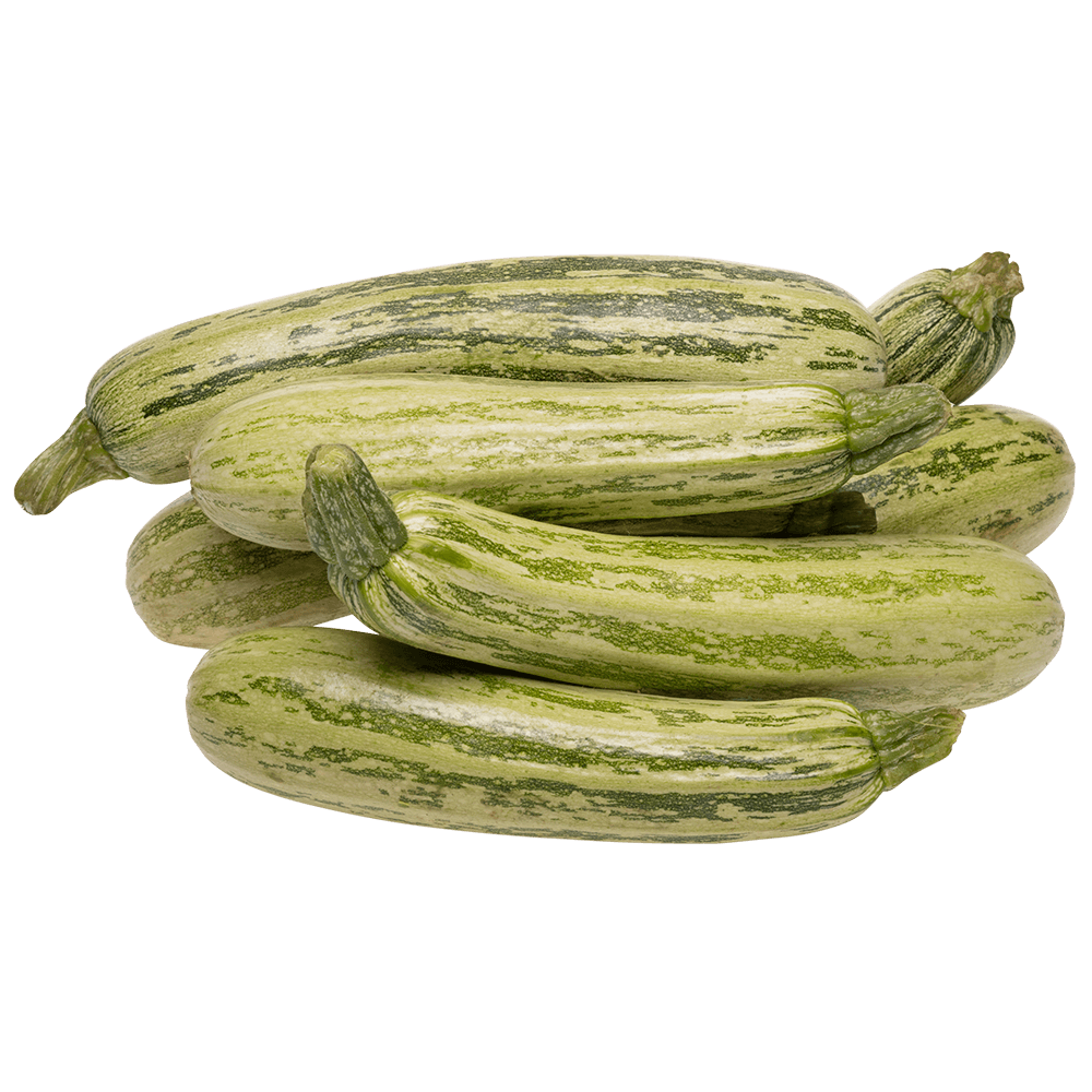 Abobrinha Italiana