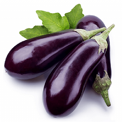 Berinjela