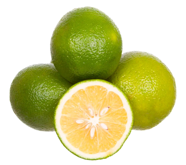Laranja Lima