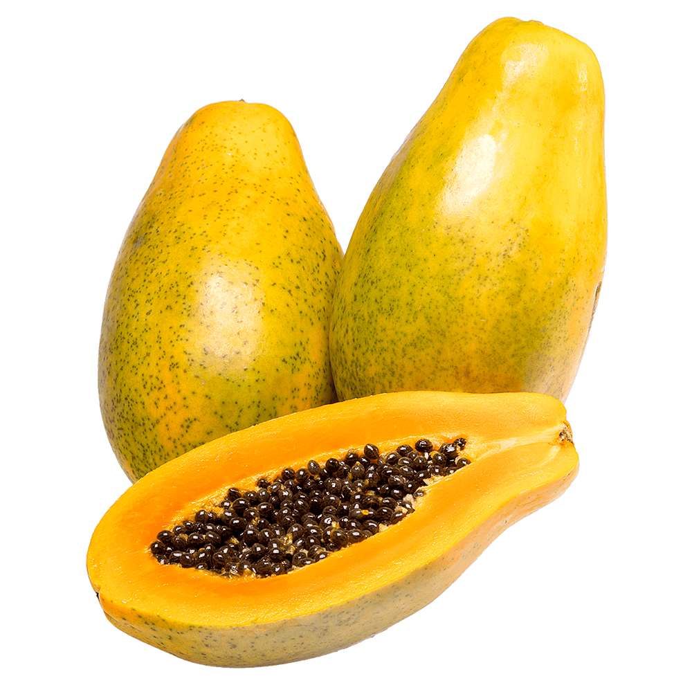 Mamão