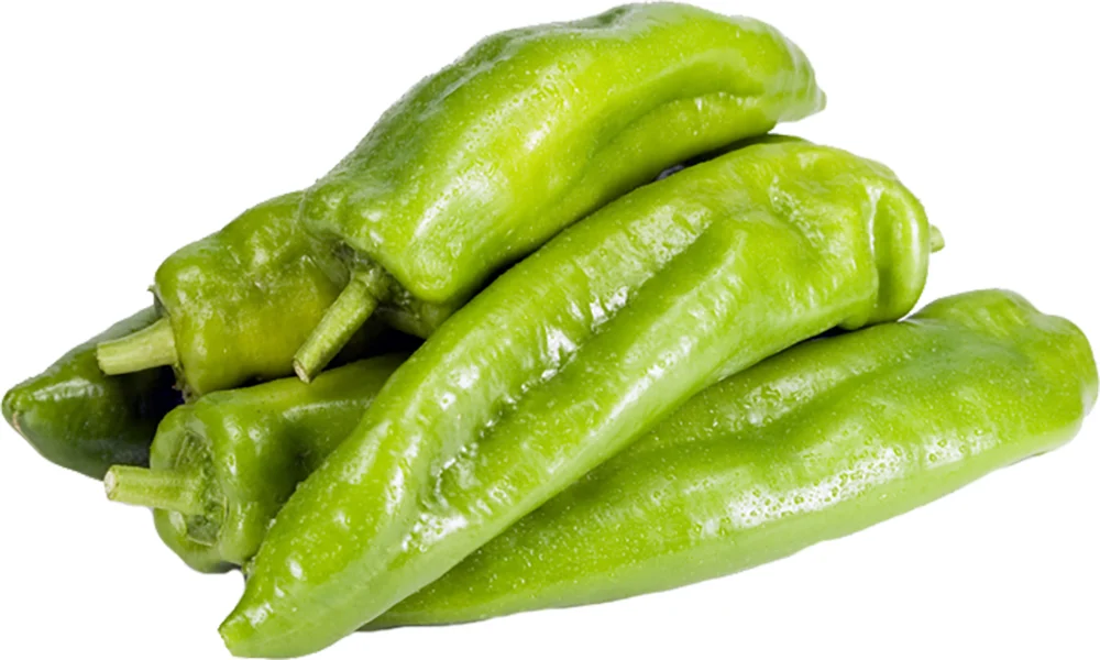 Pimenta Americana