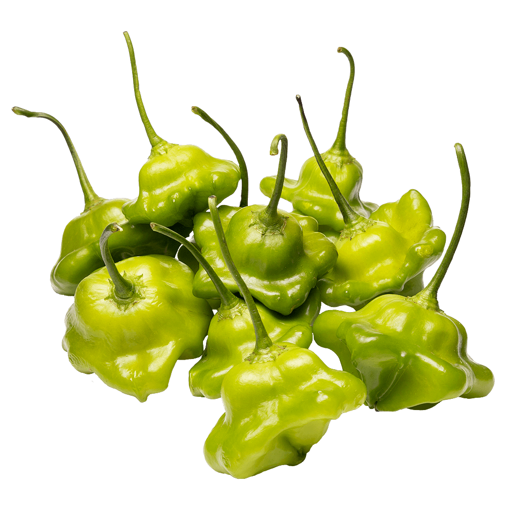 Pimenta Cambuci