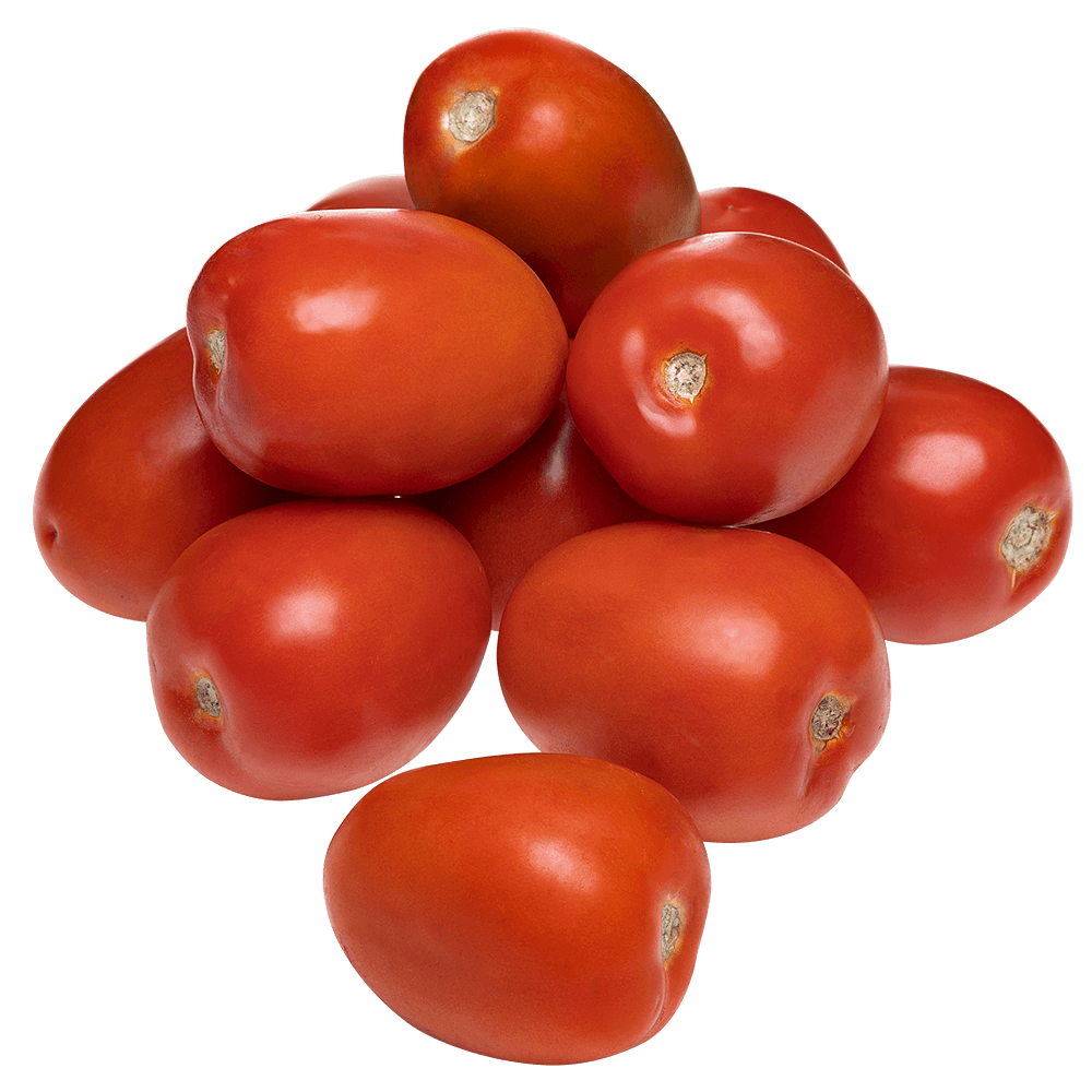 Tomate Italiano